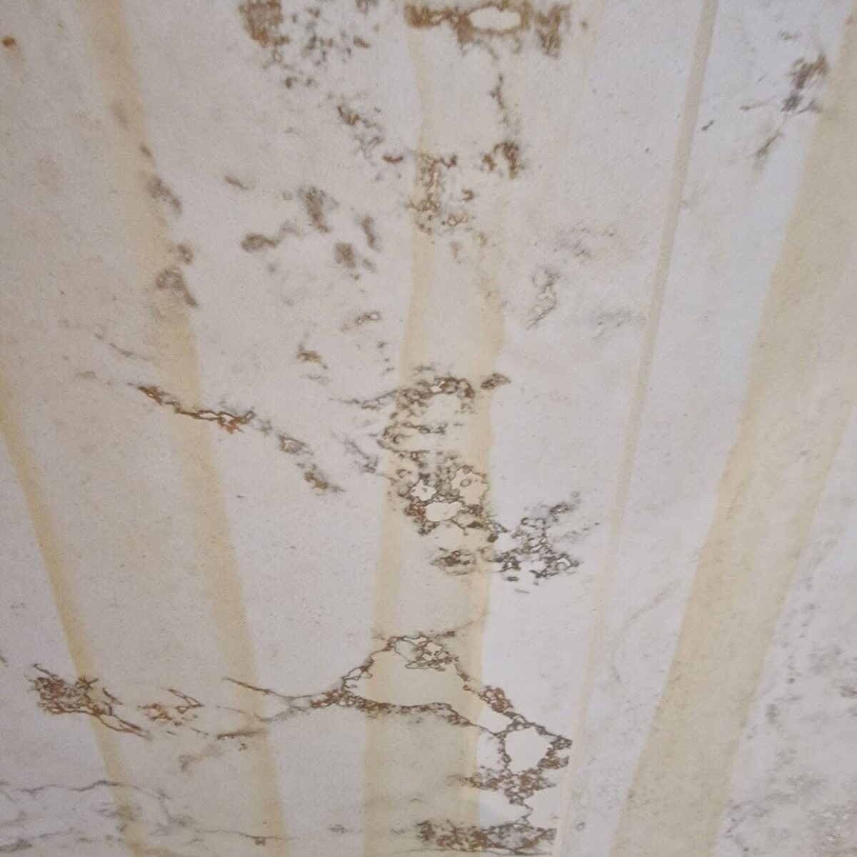 descaler pro descaler pro