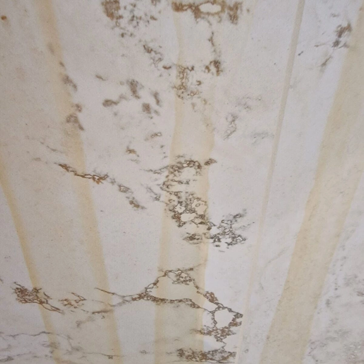 descaler pro descaler pro