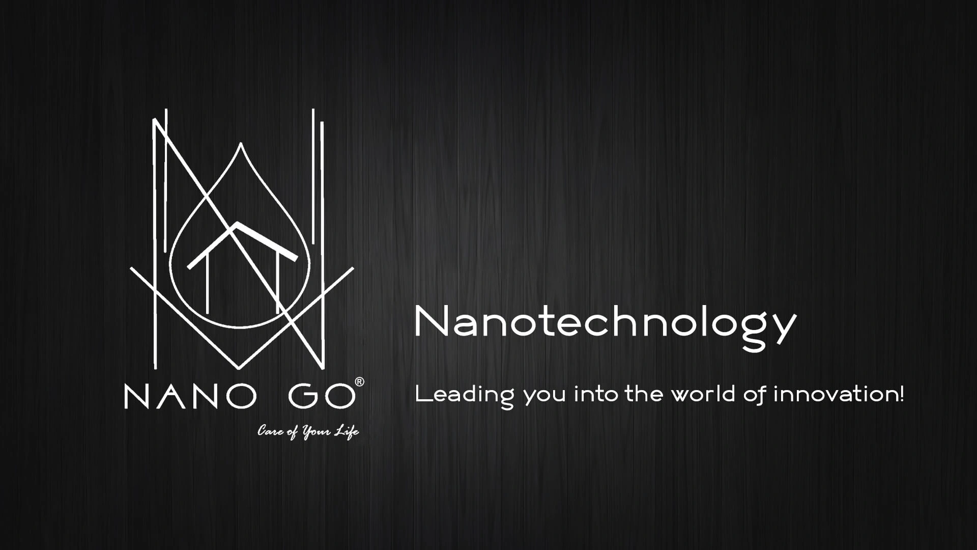 nano go branding page